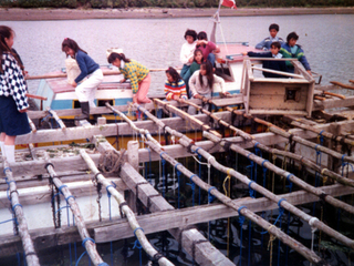 Clases de pesca y cultivos acuáticos