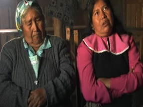 Prdida de tierras mapuche en Elicura