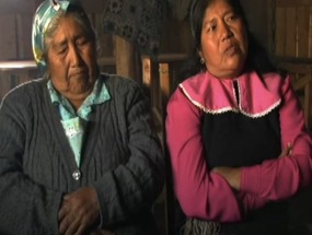 Conflictos por tierras mapuche en la regin del Bo- Bo