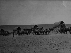 Caravana por el desierto