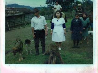 Captura de un puma en Maihue