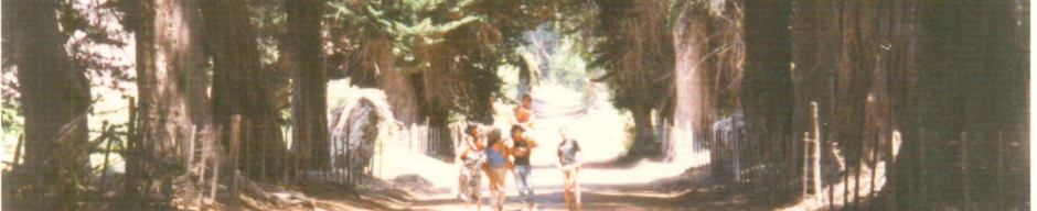 Familia de paseo en la hacienda El Tanque