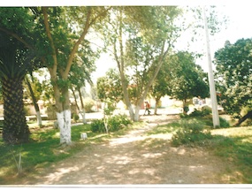 Vista de la plaza de Altovalsol