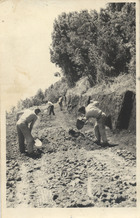 Obreros trabajan en el camino a Riñinahue