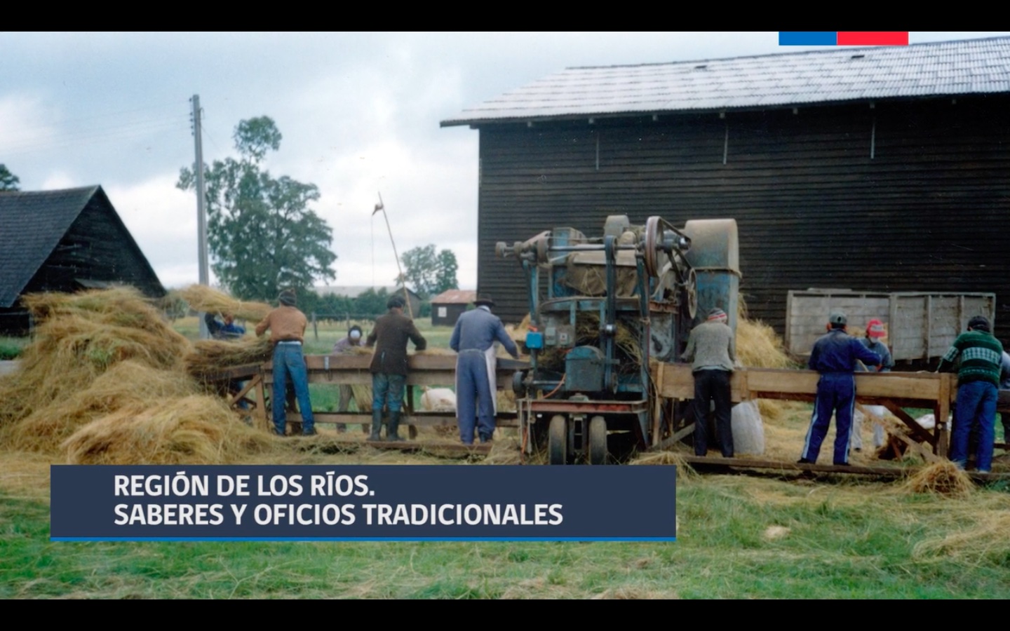 Región de Los Ríos. Saberes y oficios tradicionales Región de Los Ríos. Saberes y oficios tradicionales