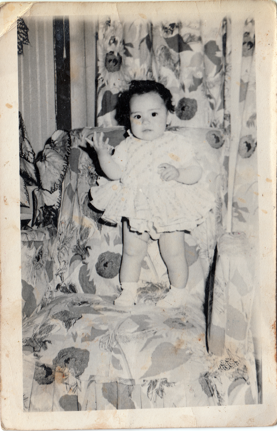 Primer año de vida Primer año de vida