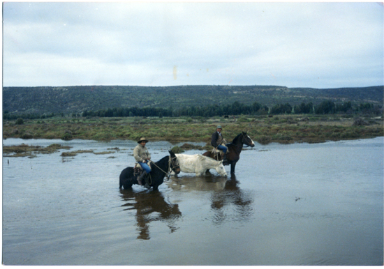Cruce del estero Pachingo Cruce del estero Pachingo