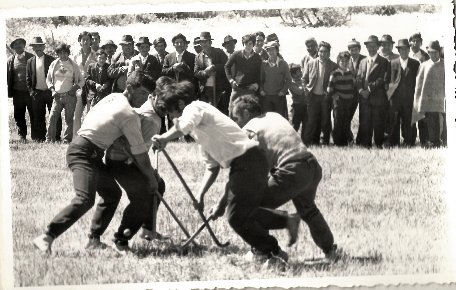 Festival de Folclore Campesino Osorno Festival de Folclore Campesino Osorno