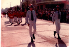 Desfile de bomberos
