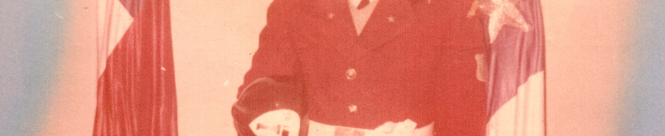 Patricio Estay Castro
