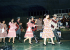 Presentación grupo folclórico Pumahue