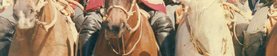 Desfile fiestas patrias