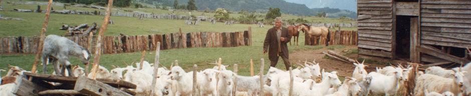 La vida de campo