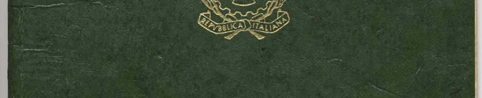 Pasaporte de llegada a Chile