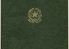 Pasaporte de llegada a Chile