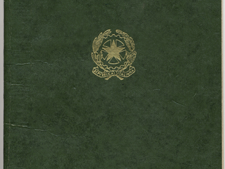 Pasaporte de llegada a Chile
