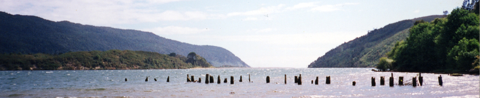 Rio Bueno