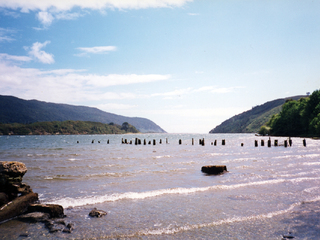 Rio Bueno