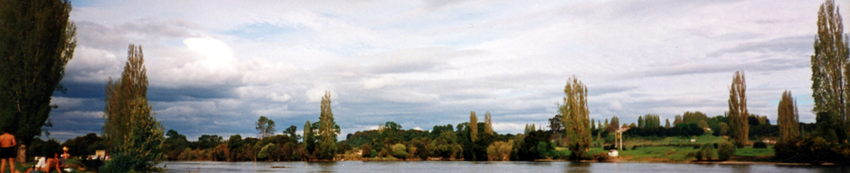 Panorámica de Río Bueno