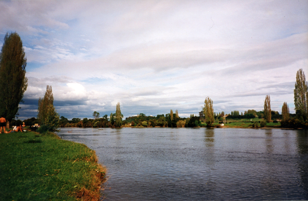 Panorámica de Río Bueno