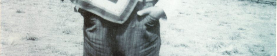 José Herrera de huaso