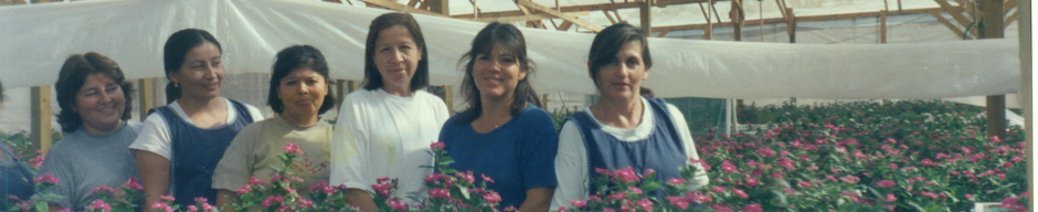 Viveros Santa Teresa