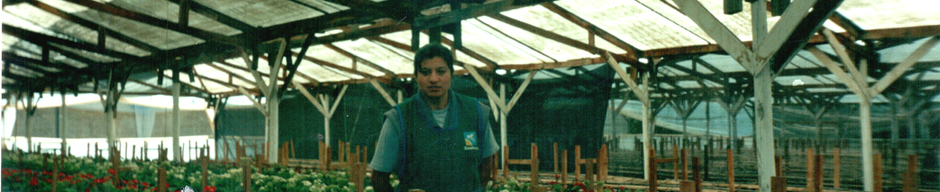 Mejor amiga
