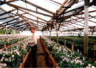 Ana rojas en el vivero