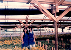 Roxana y Nayade en el vivero