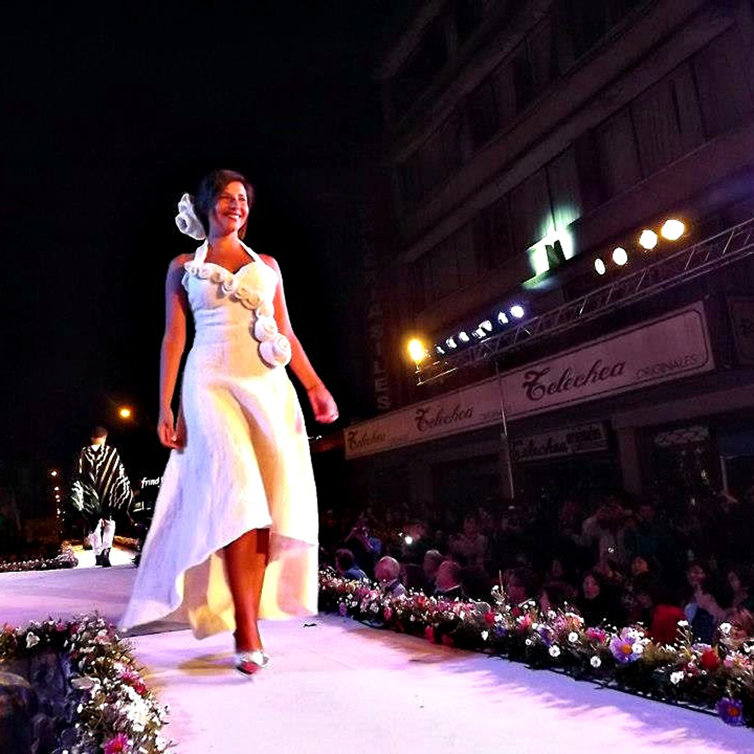 Desfile del mercado en calle Aldunate Desfile del mercado en calle Aldunate