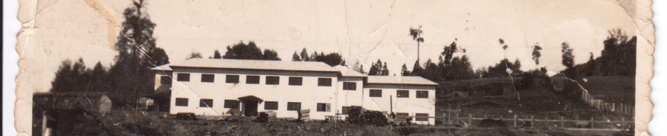 Vista posterior del hotel Riñihue