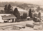 Estación de ferrocarril Riñihue