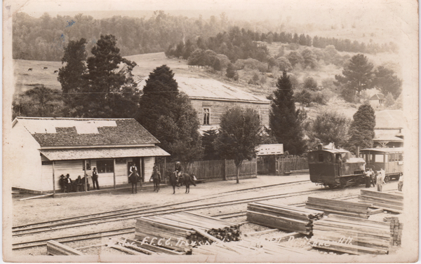 Estación de ferrocarril Riñihue