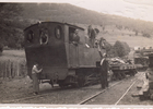 Tren trasandino