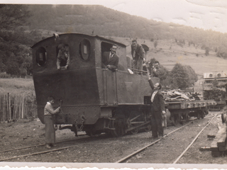 Tren trasandino