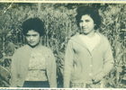 Las primas