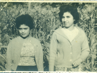 Las primas