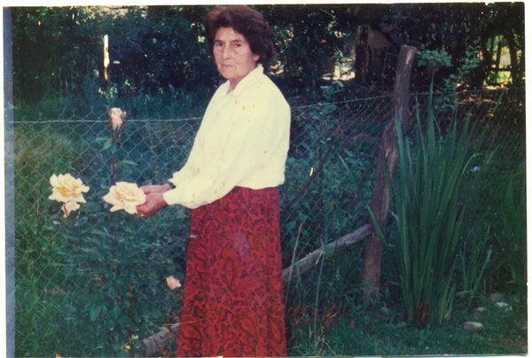 Las rosas más lindas del jardín