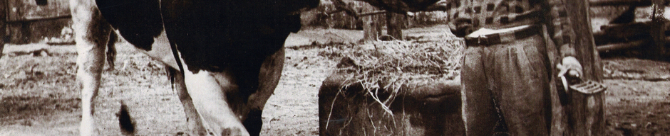 Pesebreras Hacienda Valle Alegre