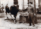 Pesebreras Hacienda Valle Alegre