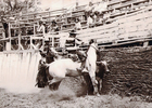 Rodeo en Valle Alegre