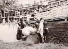 Rodeo en Valle Alegre