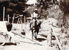 Vaqueros de Valle Alegre