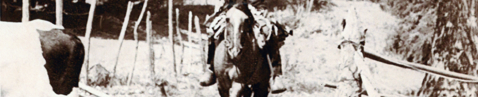 Vaqueros de Valle Alegre