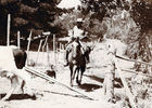 Vaqueros de Valle Alegre