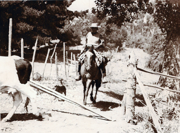 Vaqueros de Valle Alegre