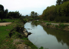 Estero Valle Alegre