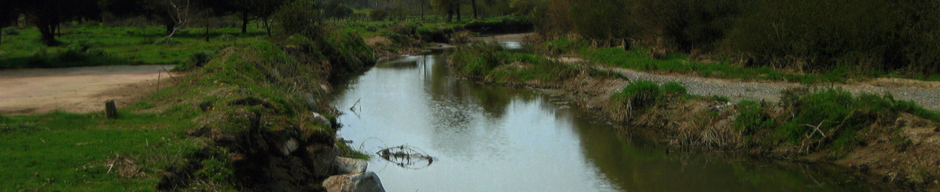 Estero Valle Alegre