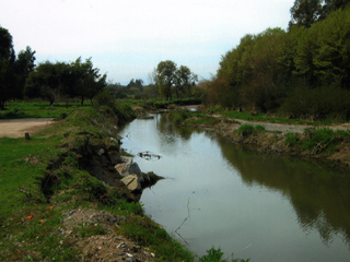 Estero Valle Alegre