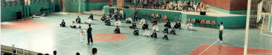 Taekwondo